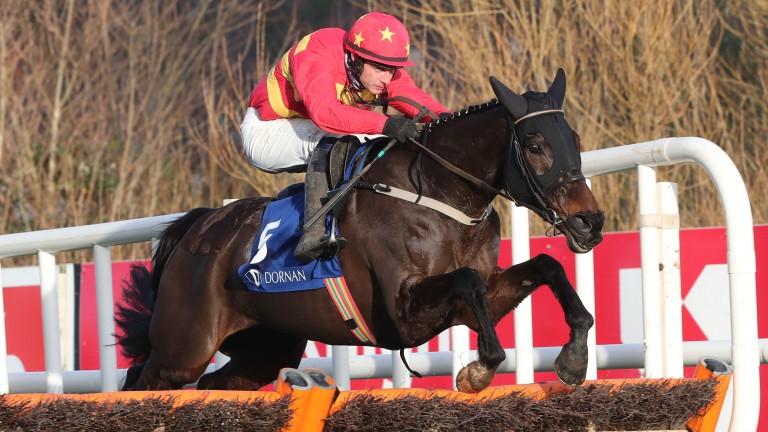 Classical Dream: Leading the Market for the John Mulhern Galmoy Hurdle