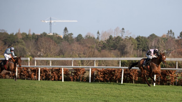 Journey With Me: stretched clear to win decisively on his hurdling debut at Leopardstown