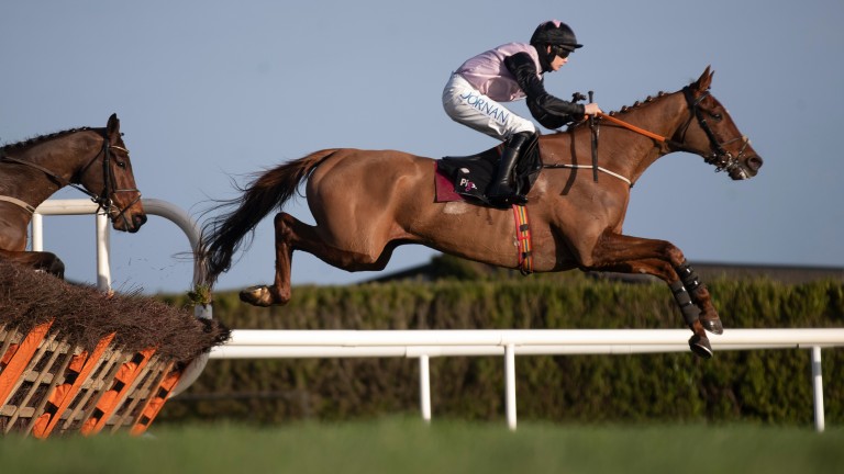 Journey With Me: favourite for the Nathaniel Lacy & Partners Solicitors Novice Hurdle at the Dublin Racing Festival in February
