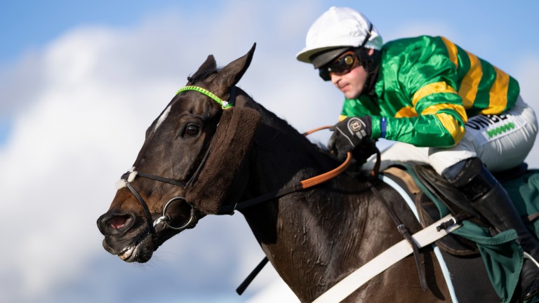Chantry House: Evergreen Stud está vendiendo una potranca occidental de su media hermana