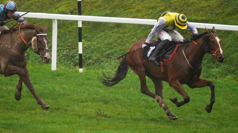 Ask A Honey Bee makes hard work of winning at odds of 1-9 at Chepstow last time