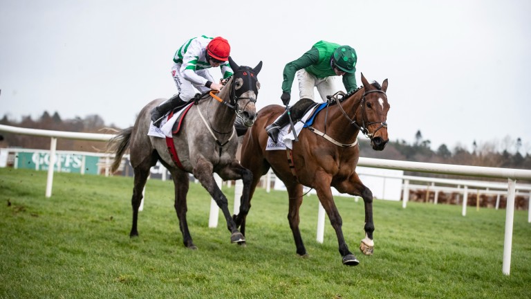 Blue Lord (right): edged out Riviere D'etel to win last season's Patrick Ward & Co Solicitors Irish Arkle Novice Chase