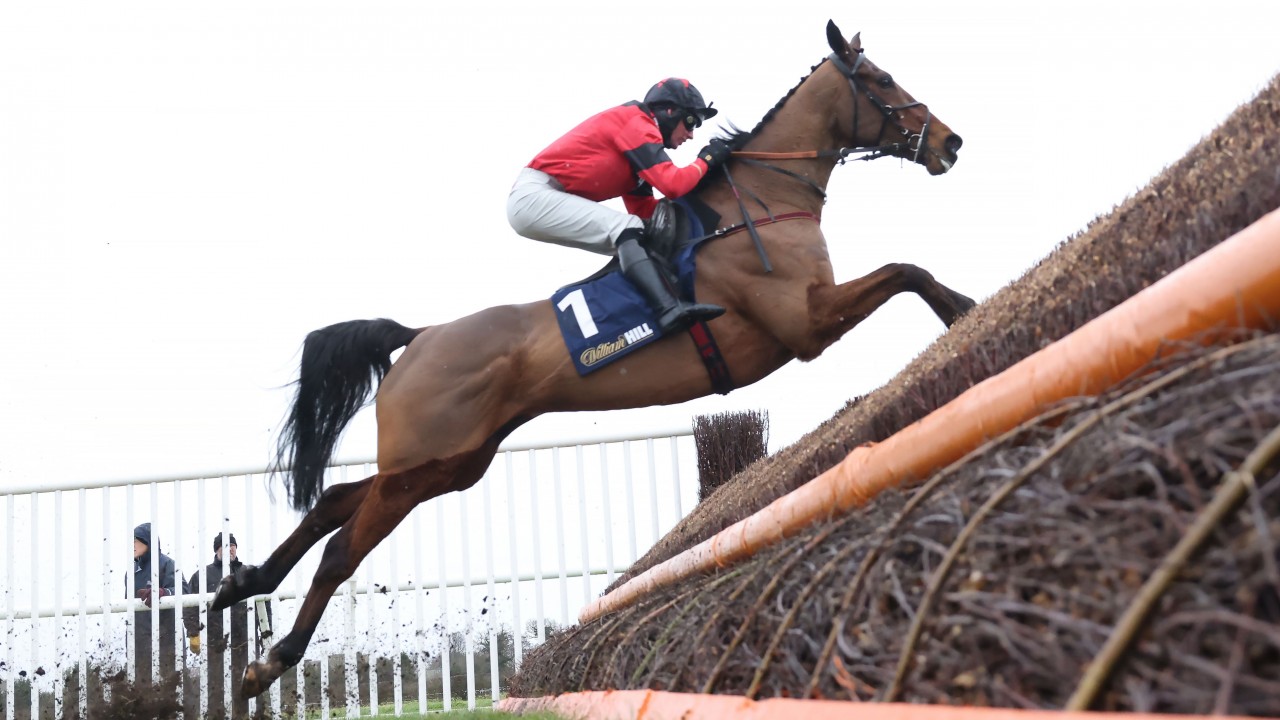 Brown Advisory Looks ‘Most Logical’ Target For The Real Whacker Ahoy Senor owner: 'I backed him at 50-1 - it's not looking bad now' | Horse Racing News | Racing Post