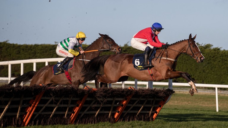 Sir Gerhard: could step up to 2m5f for the Ballymore at next week's Cheltenham Festival