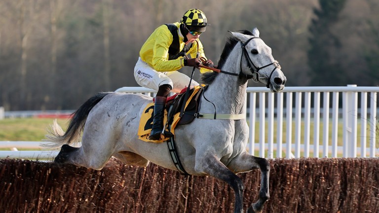 El Dorado Allen: "He's race fit and while he has a bit to find on form, something not impossible can happen to those who are running for the first time."