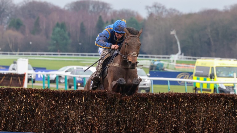 The Galloping Bear and Ben Jones plough through the Haydock mud to win the William Hill Grand National Trial
