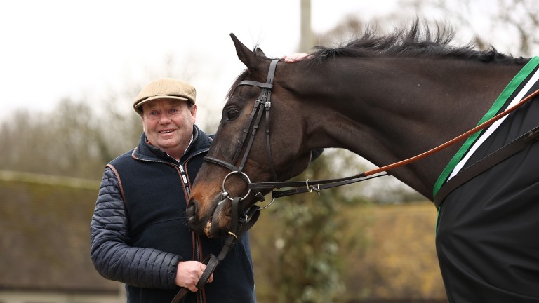 Nicky Henderson with Shishkin: "We had the most perfect preparation for Cheltenham with him"