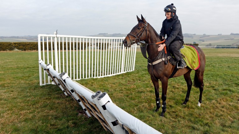 White obstacles: have been in use at Stratford since the start of the season