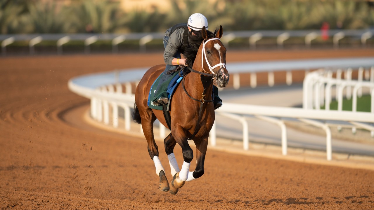 Juddmonte announces retirement of Kentucky Derby winner Mandaloun to US