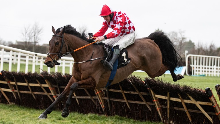 Flame Bearer: also part of a good weekend for sire Fame And Glory