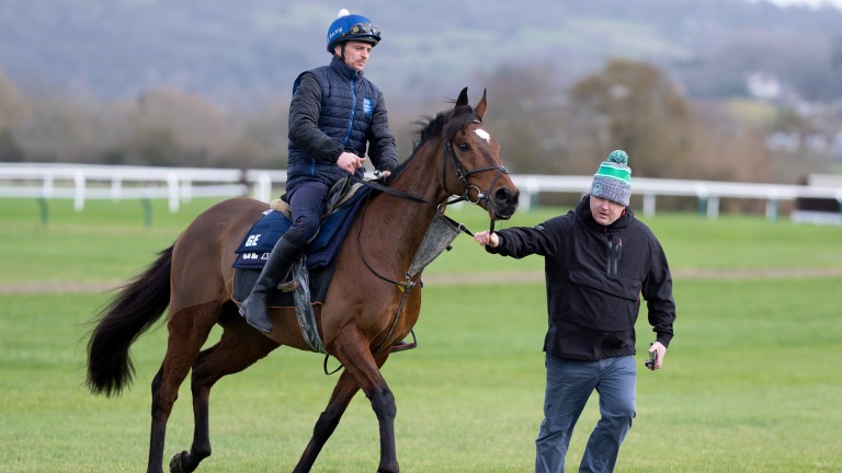 Tiger Roll à Cheltenham le dimanche matin