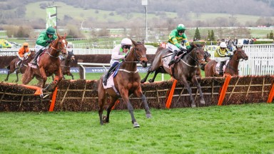 Gaelic Warrior: jumped the last in front in the Boodles Juvenile Hurdle at Cheltenham in March only to be collared late by Brazil