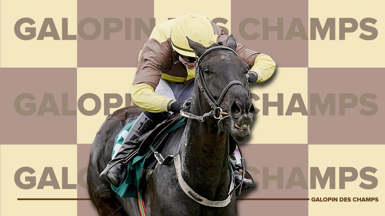 He's back Galopin Des Champs begins Gold Cup journey at Punchestown