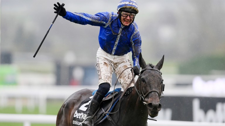 Energumene: landed last year's Champion Chase at Cheltenham in attrition conditions
