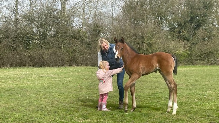 Kate Bradley's Harry Angel filly out of Peter's Spirit
