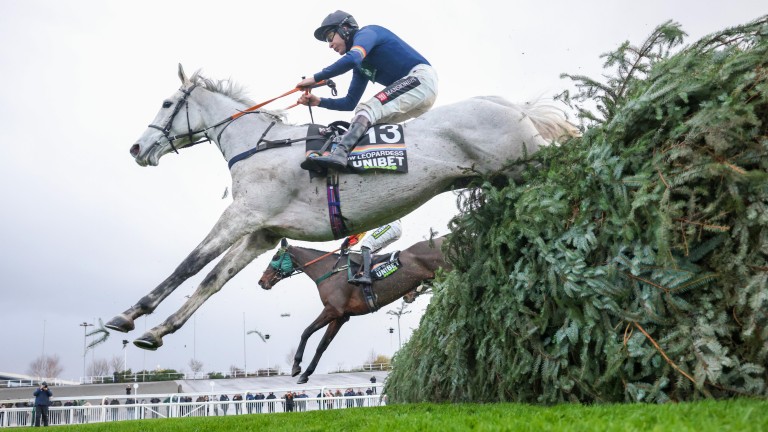 Snow Leopardess - Won the Becher Chase in December