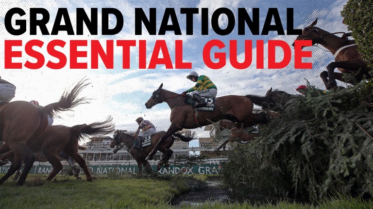 Randox Grand National 2022: Hora de início, detalhes da TV, ingressos, concorrentes e mais |  notícias de corridas de cavalos