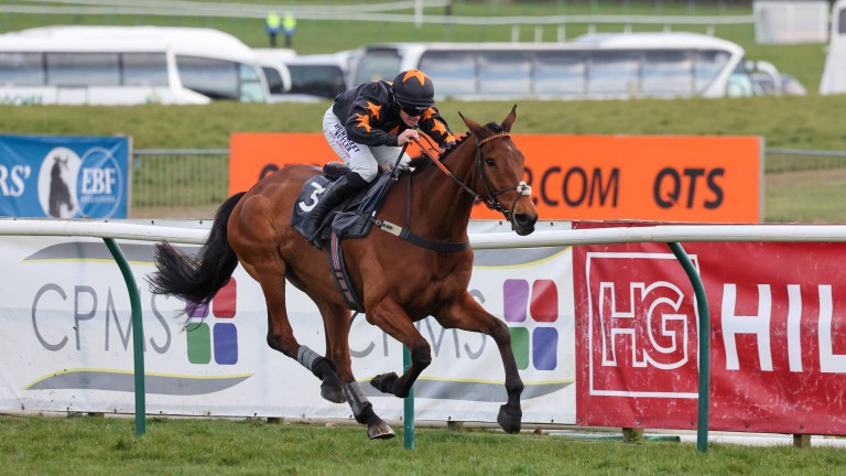 Do Your Job: one of a couple of nice winners for Fame And Glory at Ayr on Saturday