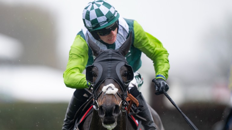 Un fuerte desafío para el Clan des Obeaux mientras Paul Nicolas prepara un equipo estrella |  noticias de carreras de caballos