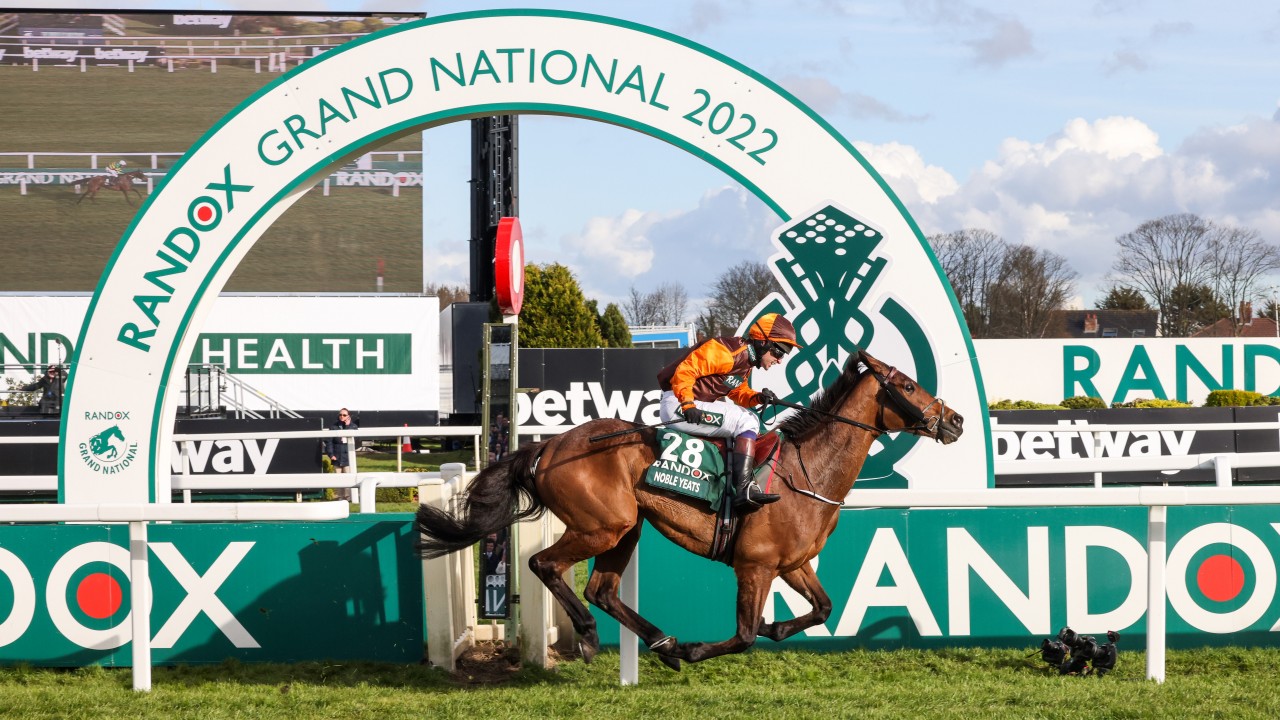 We took 1.2 million bets' - Grand National still a hit with punters say  bookies | Horse Racing News | Racing Post