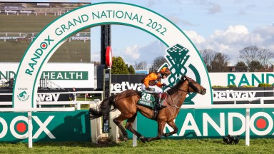 Noble Yeats: 50-1 winner of the Grand National on Saturday