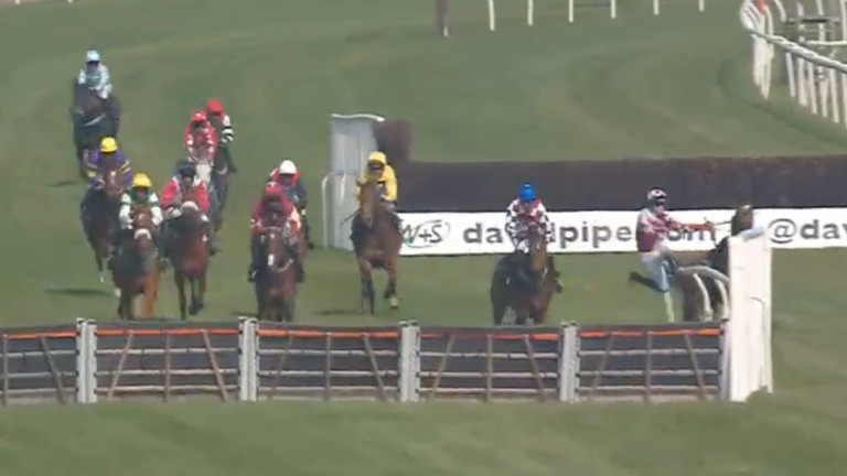San Giovanni begins the chaos by running out when approaching the second-last and crashing through the wing