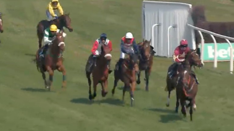 But Light Em Up Nigel (right) is hampered by the loose horse approaching the last, allowing 80-1 outsider Holerday Ridge (white cap) to come through for an unlikely win