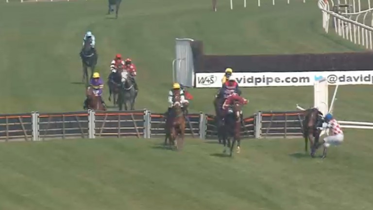 Powell is powerless as he exits the saddle to seemingly leave the way clear for favourite Light Em Up Nigel