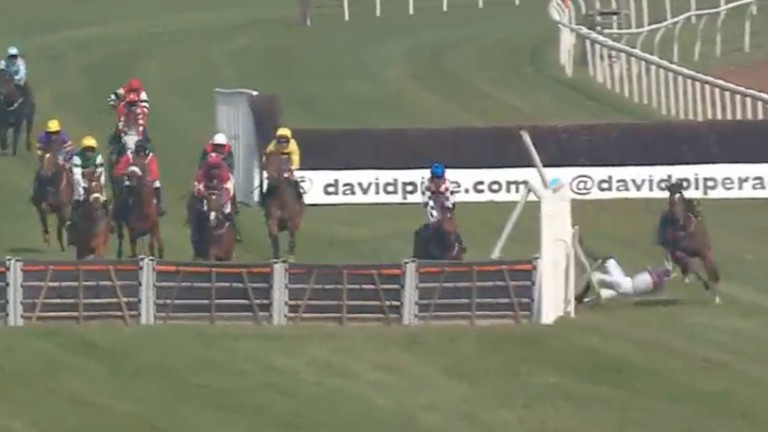 Kevin Brogan is thrown from the saddle after San Giovanni crashes through the wing at the second-last in a dramatic contest at Newton Abbot