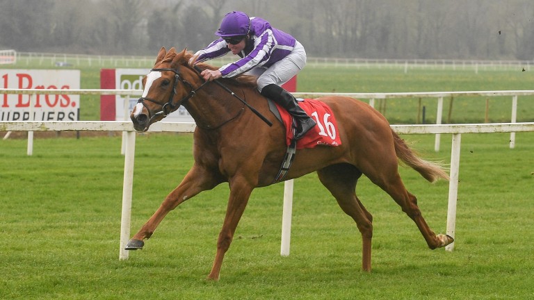 Match : Seul coureur pour l'entraîneur gagnant de l'année dernière, Aidan O'Brien