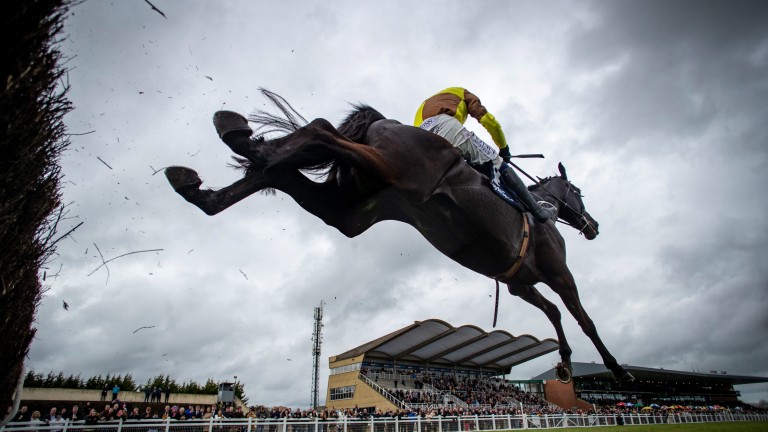 Galopin des Champs volvió a ganar en Fairyhouse