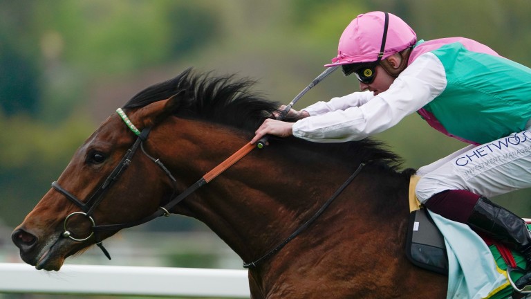 Westover: was dominant in the Irish Derby but disappointed in the King George