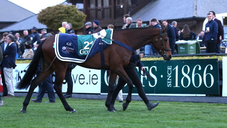 El Land Rover Bumper ganador de Goff, Absolute Notions, se vendió por un récord de 370 000 €