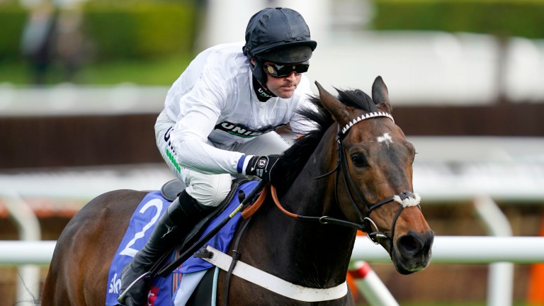 Constitution Hill: Fight Fifth Hurdle or International Hurdle are options for Supreme Scorer.