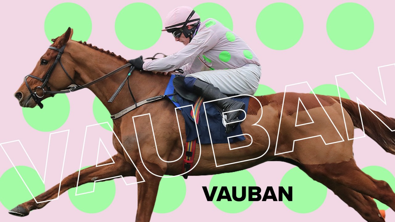 Vauban still the one to beat as he takes on Fil Dor for third time in Grade 1 Horse Racing