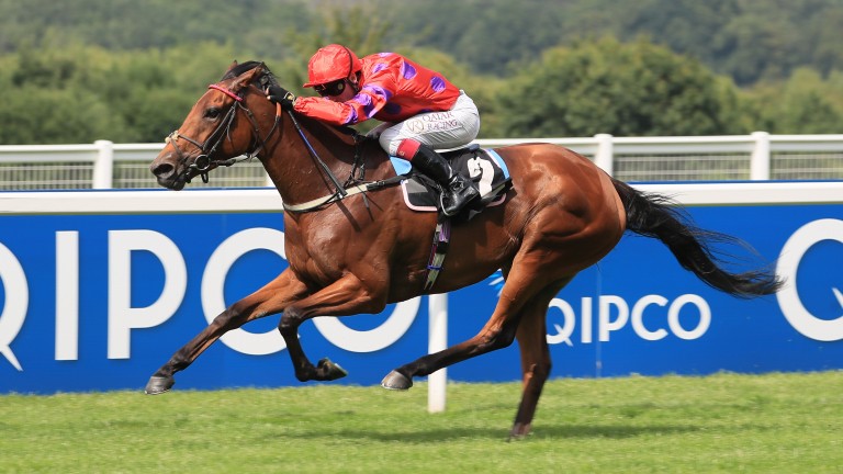 Coroebus subit une blessure mortelle alors que Dreamloper atterrit sur le Prix du Moulin à Longchamp |  l’actualité hippique