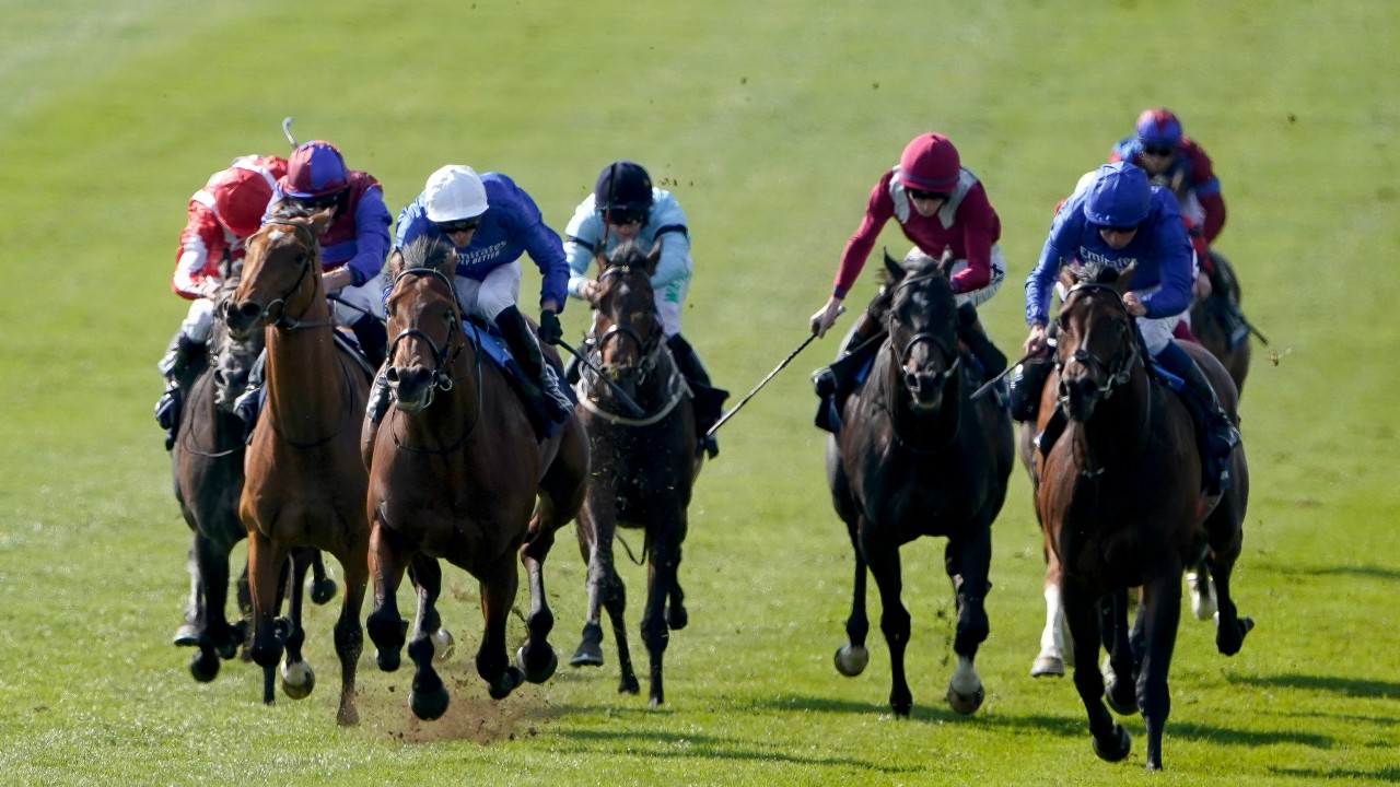 Horse racing 2000 guineas betting bitcoin nem