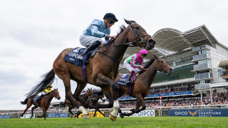 Cachet: surprise winner of the 1,000 Guineas