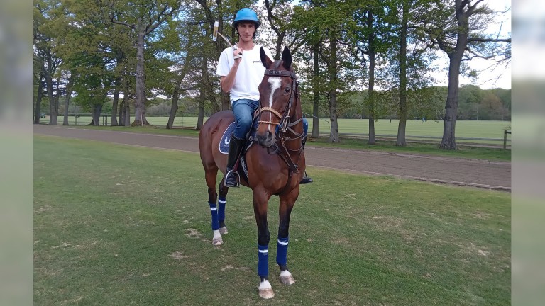 Harmony Wold moved from the track to become one of Jack Richardson's best polo ponies