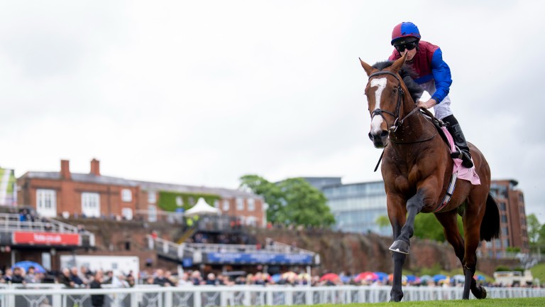 Смена караула: победитель Chester Vase