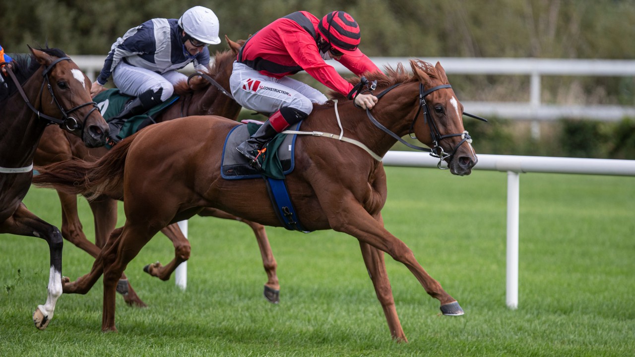 Panama Red fancied to prove champ Keane right in intriguing Listed race