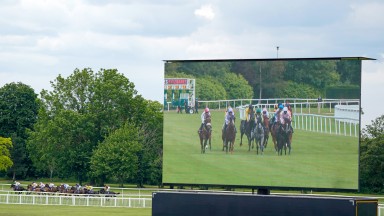 WINDSOR, ENGLAND - JUNE 26: A general view as runners race down the back straight in The Sky Sports Racing HD Virgin 535 Handicap as the big screen shows the head on view at Windsor Racecourse on June 26, 2021 in Windsor, England. Due to the Coronavirus p