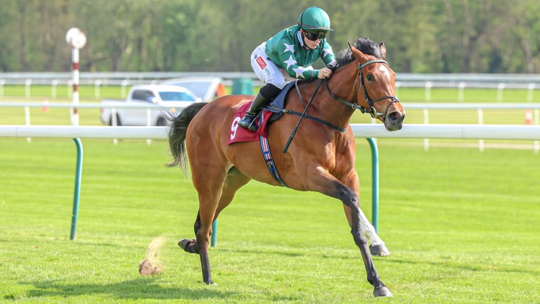 Nashwa: a general 12-1 chance for the Oaks