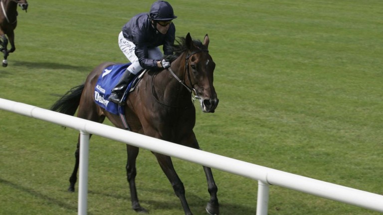 The great Alexandrova: latest offspring has his first day at school at Newbury on Saturday