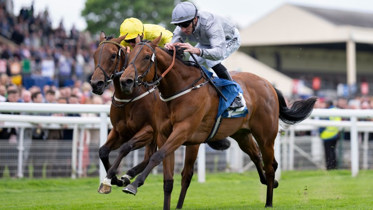 Pillow Talk (near): could line up in the Queen Mary Stakes at Royal Ascot
