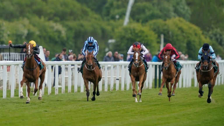 Tashkhan (second from left) runs a stormer behind Stradivarius in the Yorkshire Cup