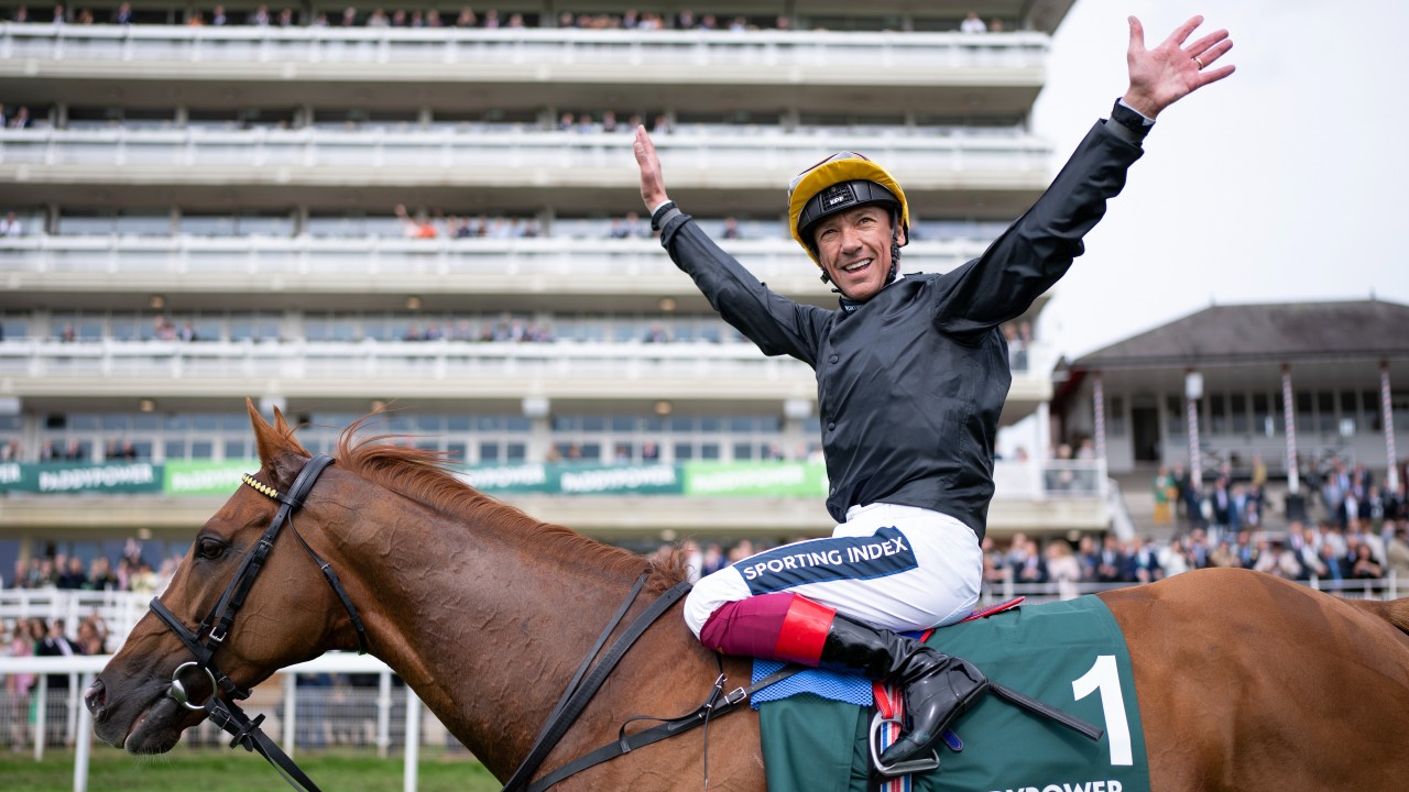 Stradivarius: 'He's been one of the soundest horses who's ever lived' |  Horse Racing News | Racing Post