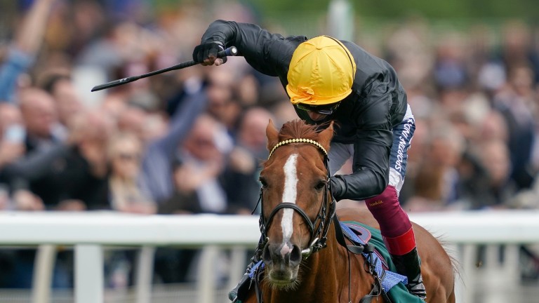 Stradivarius gallops to a record-breaking 18th Group victory in the Yorkshire Cup