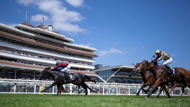 Boycott des prix en argent à Newbury après l’intervention d’un éminent entraîneur de Newmarket |  l’actualité hippique