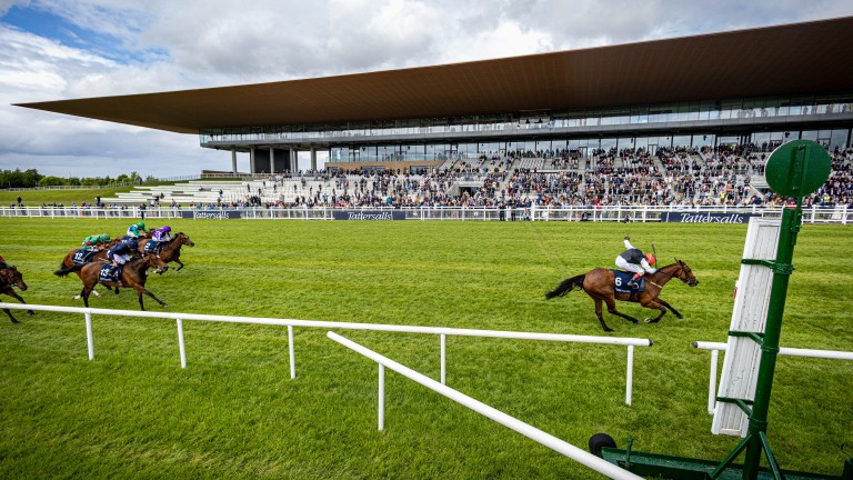 A crowd of 4,800 attended the Curragh for a devastating performance by Homeless Songs in the Tattersalls Irish 1,000 Guineas